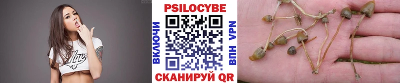 Галлюциногенные грибы Psilocybine cubensis  Верхний Уфалей 