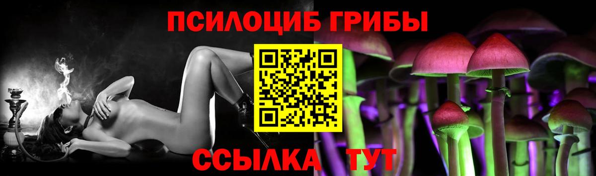 Верхний Уфалей  Галлюциногенные грибы прущие грибы  Галлюциногенные грибы Cubensis  Вход с VPN 